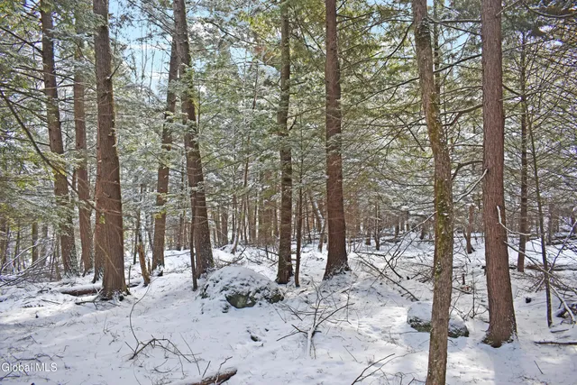 $39,500 | 34 Carriage Knolls Road, Chester, NY 12817