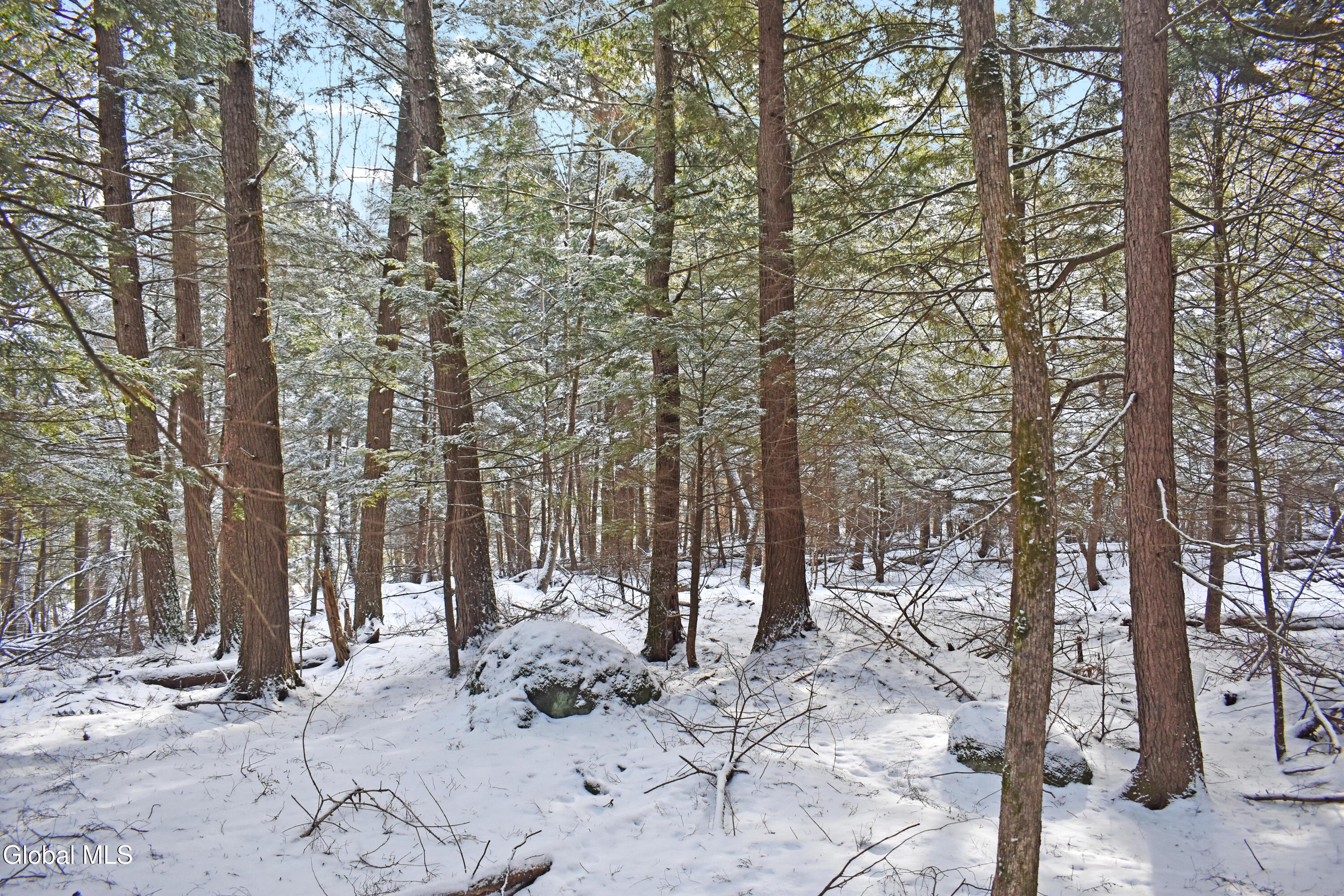 34 Carriage Knolls Road Chester, NY 12817 - Photo 3 of 8 DSC_0415