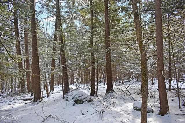 $39,500 | 34 Carriage Knolls Road, Chester, NY 12817