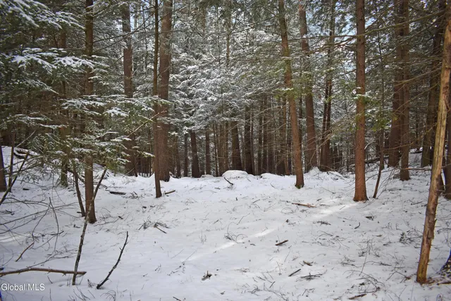 $39,500 | 34 Carriage Knolls Road, Chester, NY 12817