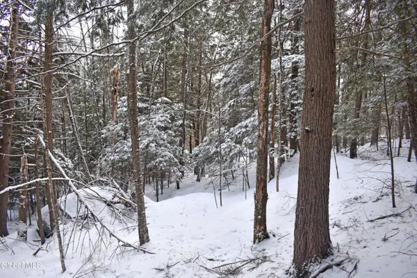 $39,500 | 34 Carriage Knolls Road, Chester, NY 12817