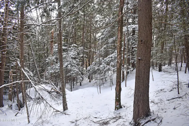 $39,500 | 34 Carriage Knolls Road, Chester, NY 12817