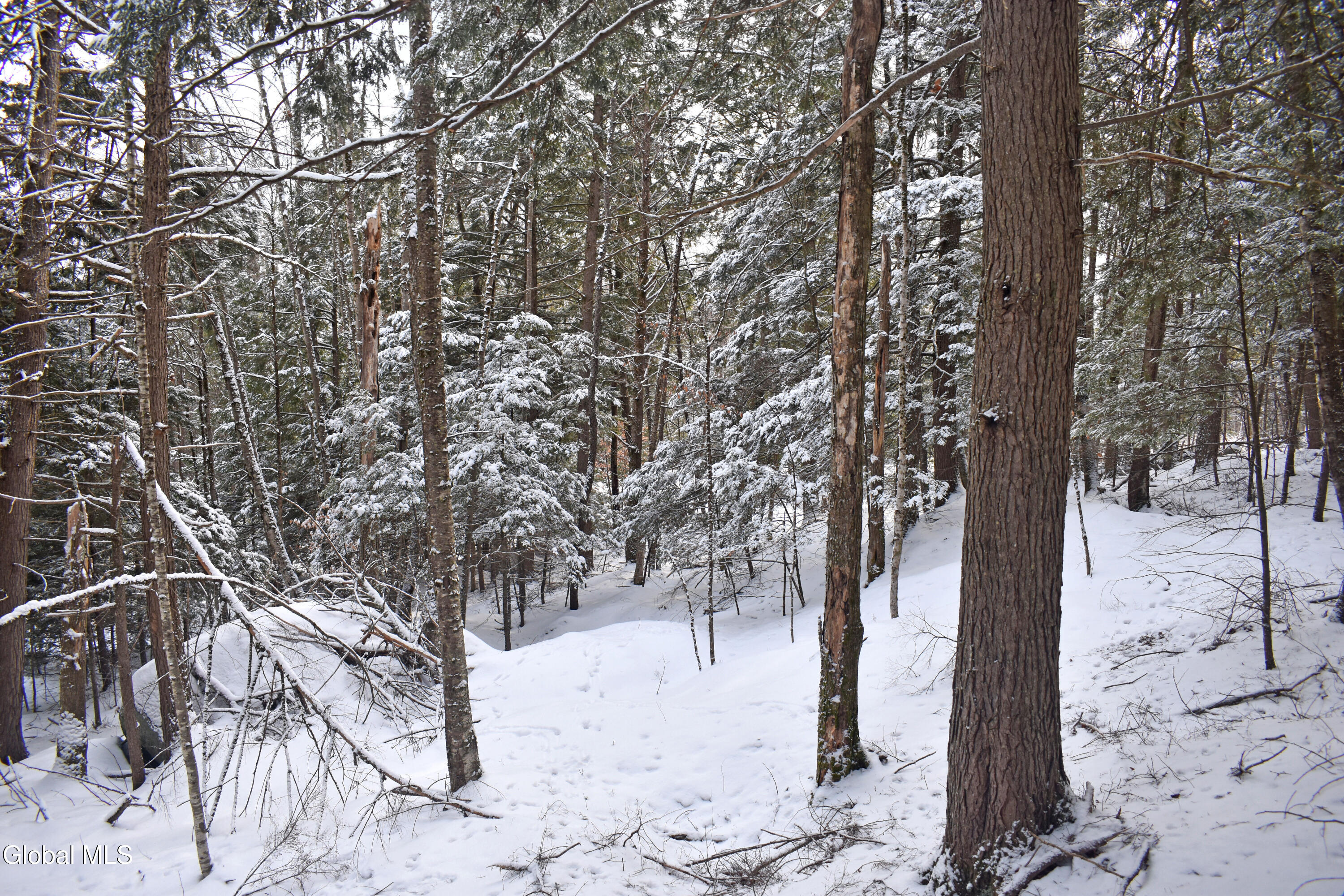 34 Carriage Knolls Road Chester, NY 12817 - Photo 6 of 8 DSC_0414
