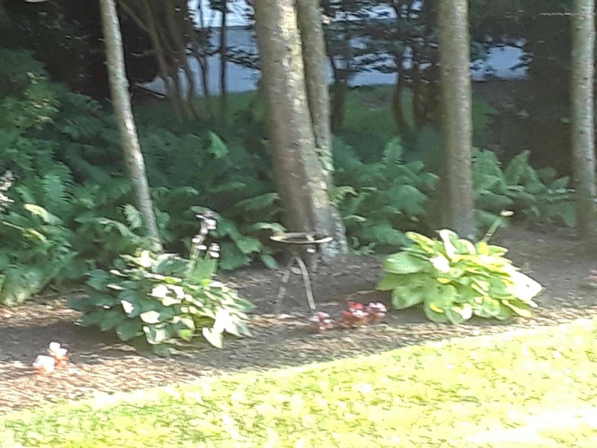 3 Fairway East Colts Neck, NJ 07722 - Photo 36 of 54 20170716_185413