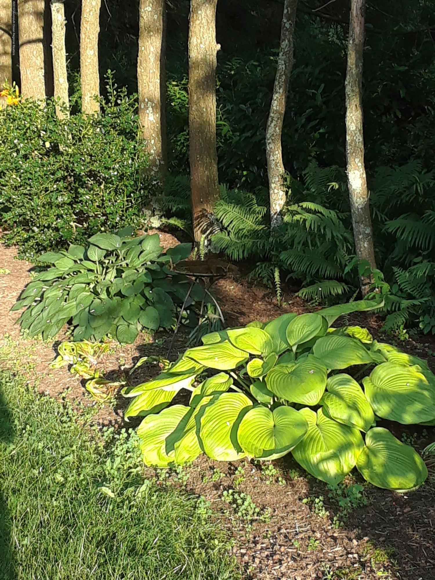 3 Fairway East Colts Neck, NJ 07722 - Photo 52 of 54 20180621_190822