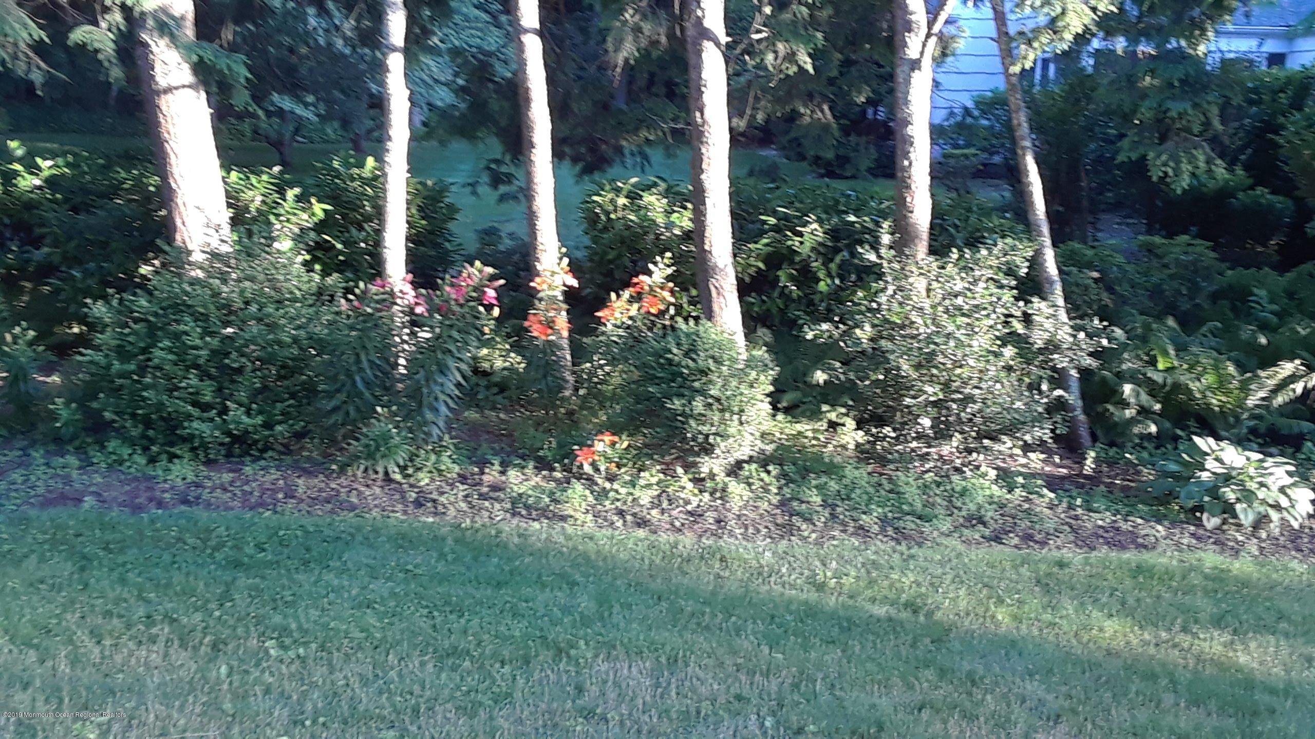 3 Fairway East Colts Neck, NJ 07722 - Photo 54 of 54 20190614_193013