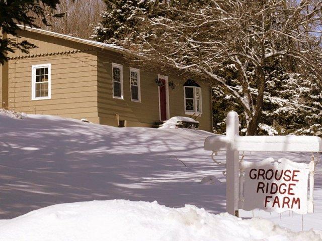 2619 Hancock Road Hancock, MA 01267 - Photo 2 of 16 a view of a house with a tree