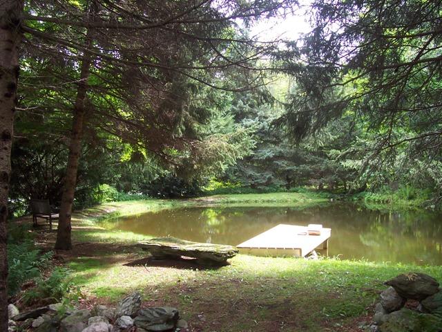 2619 Hancock Road Hancock, MA 01267 - Photo 12 of 16 a view of a lake with a yard