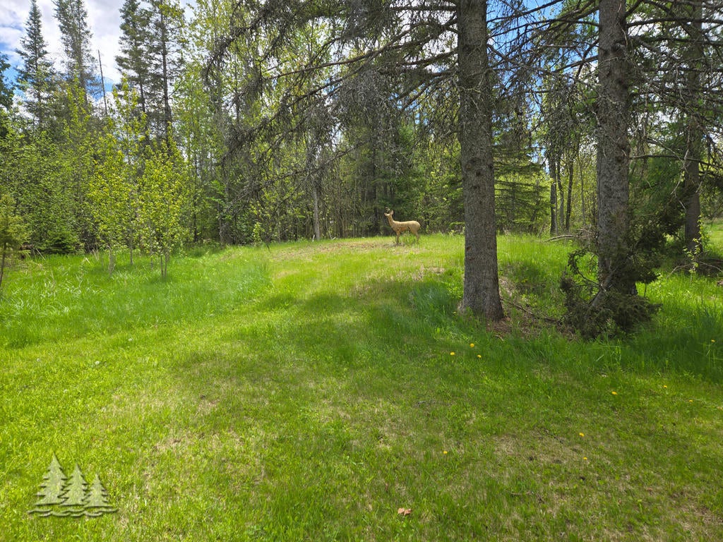 16905 Harwood Road Atlanta, MI 49709 - Photo 15 of 21 Gallery Image 15