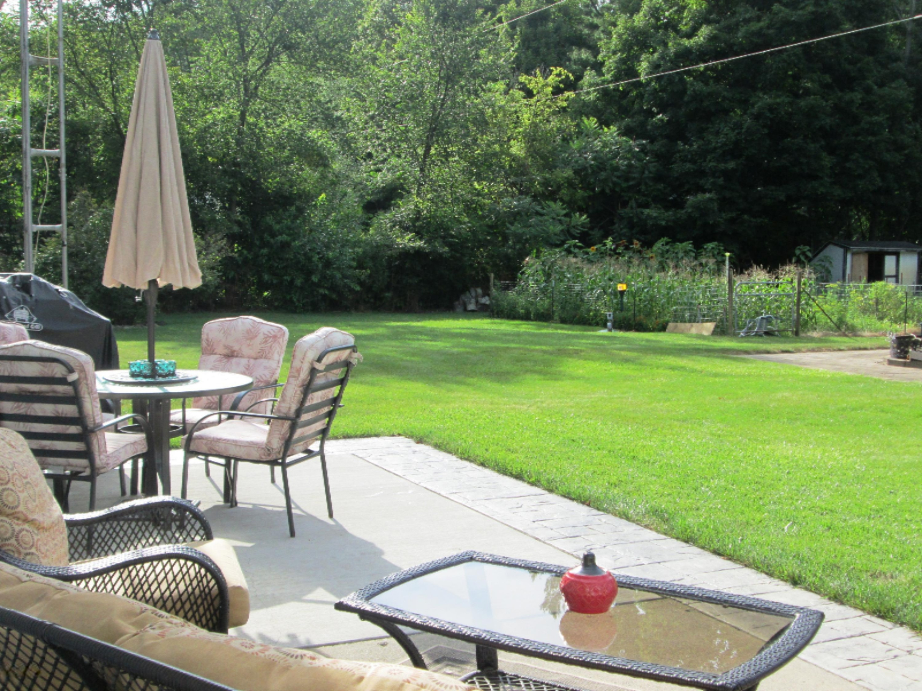 916 Sackett Road Bronson, MI 49028 - Photo 15 of 23 IMG_0623