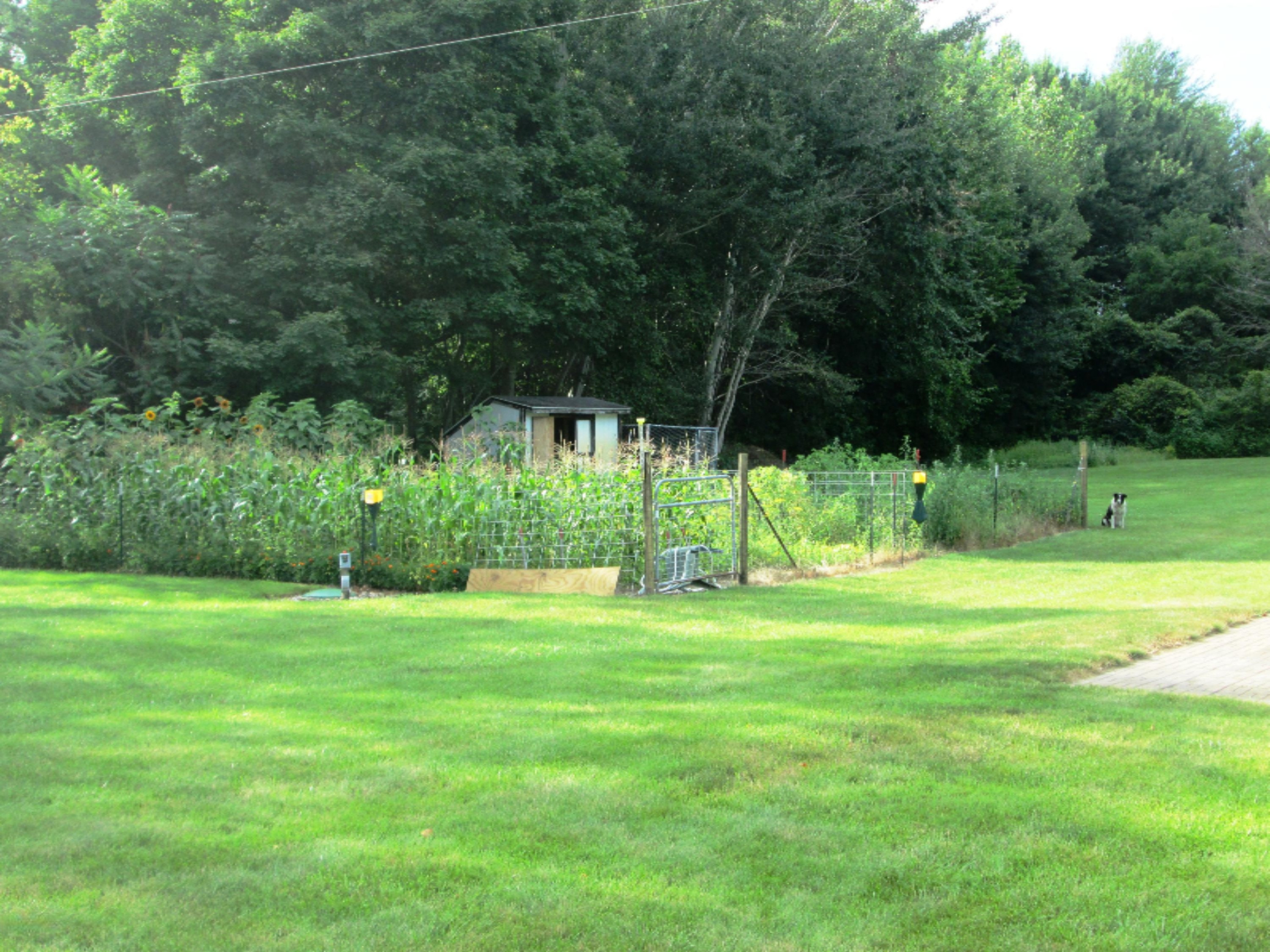 916 Sackett Road Bronson, MI 49028 - Photo 18 of 23 IMG_0626