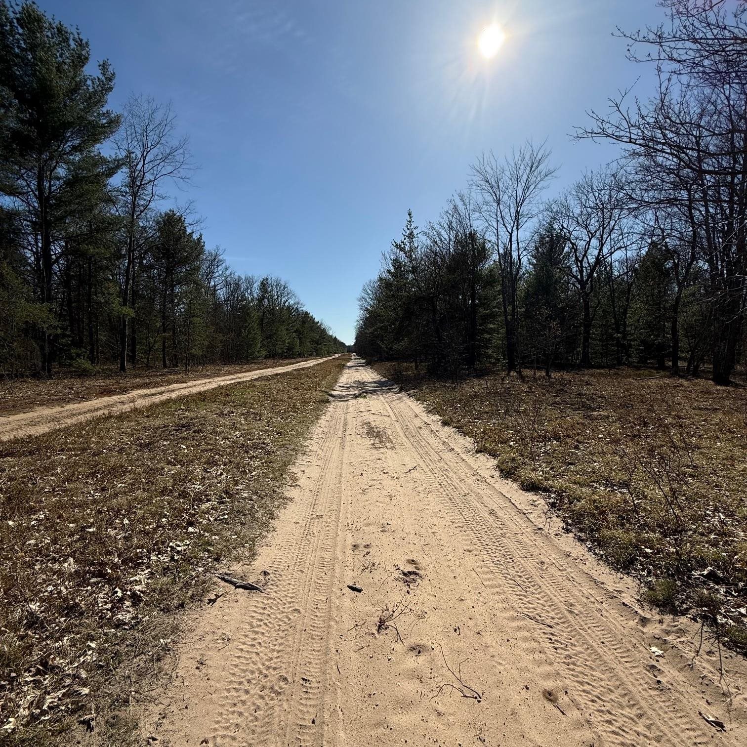 C Scharmen Road Traverse City, MI 49696 - Photo 3 of 11