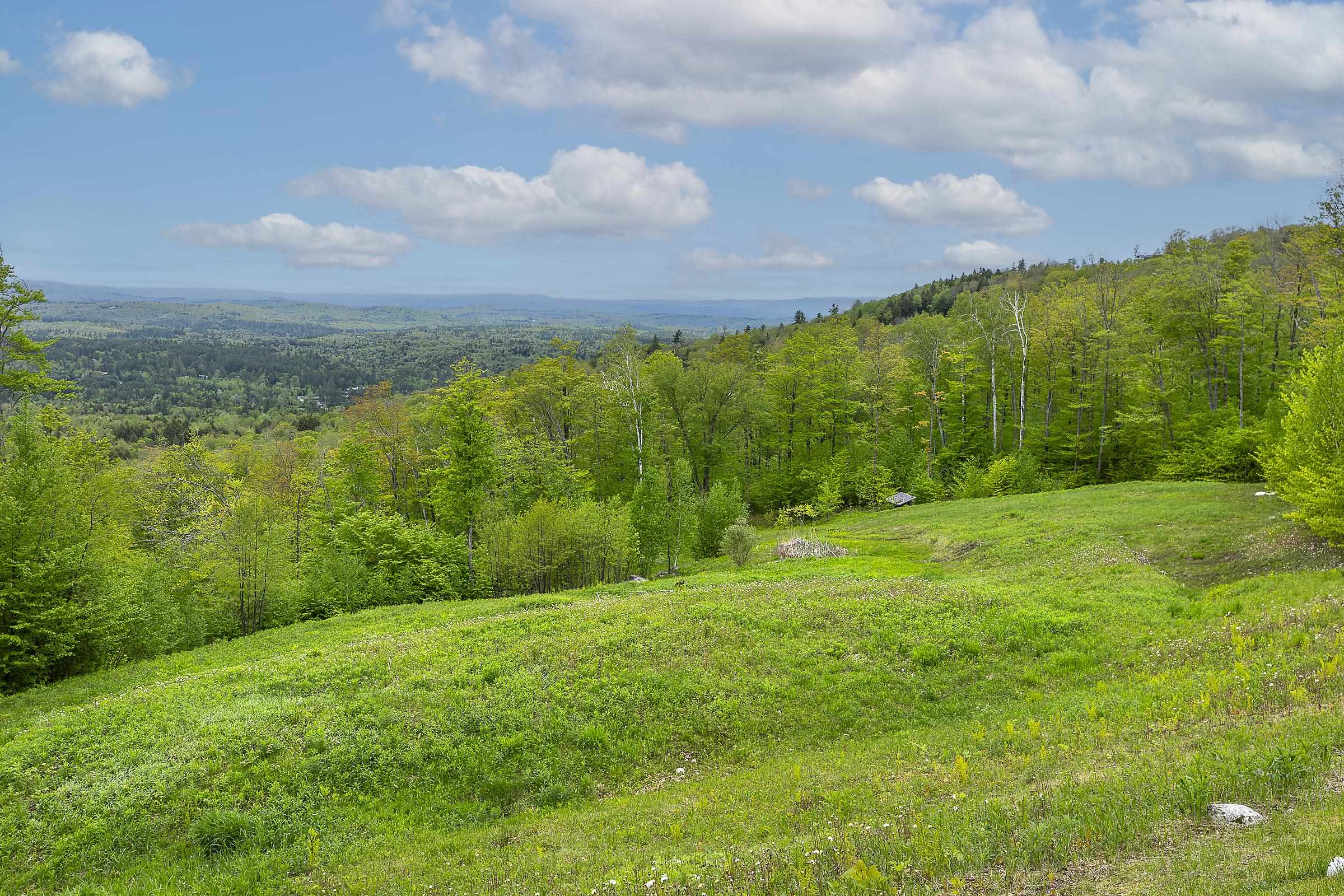 69 Upper Taylor Hill Road, Unit D Winhall, VT 05340 - Photo 34 of 39