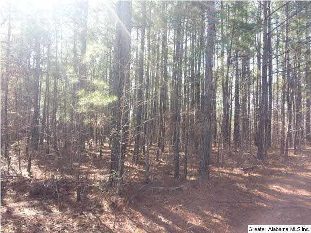 267 County Road, Unit 53 Lanett, AL 36863 - Photo 5 of 9