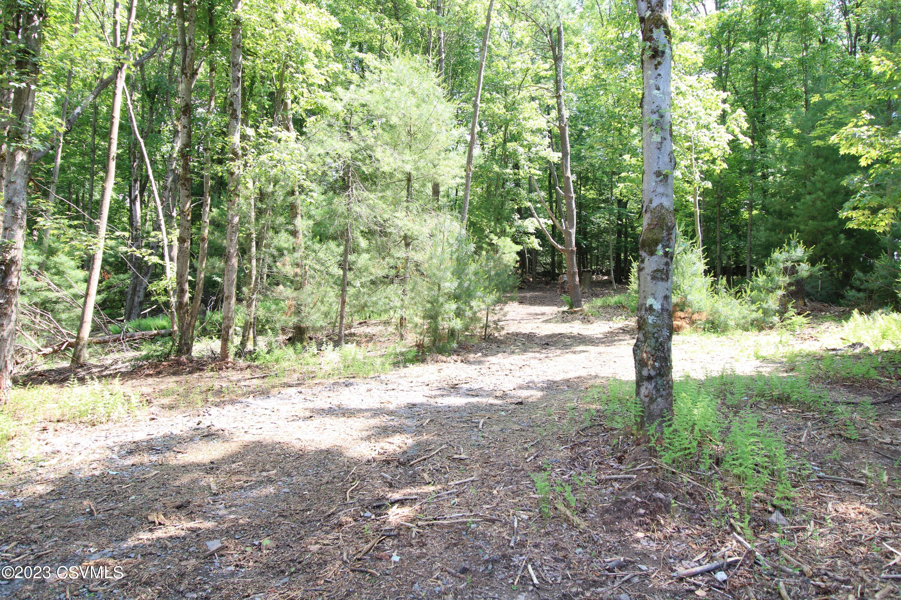 Campbell Road Benton, PA 17814 - Photo 4 of 5