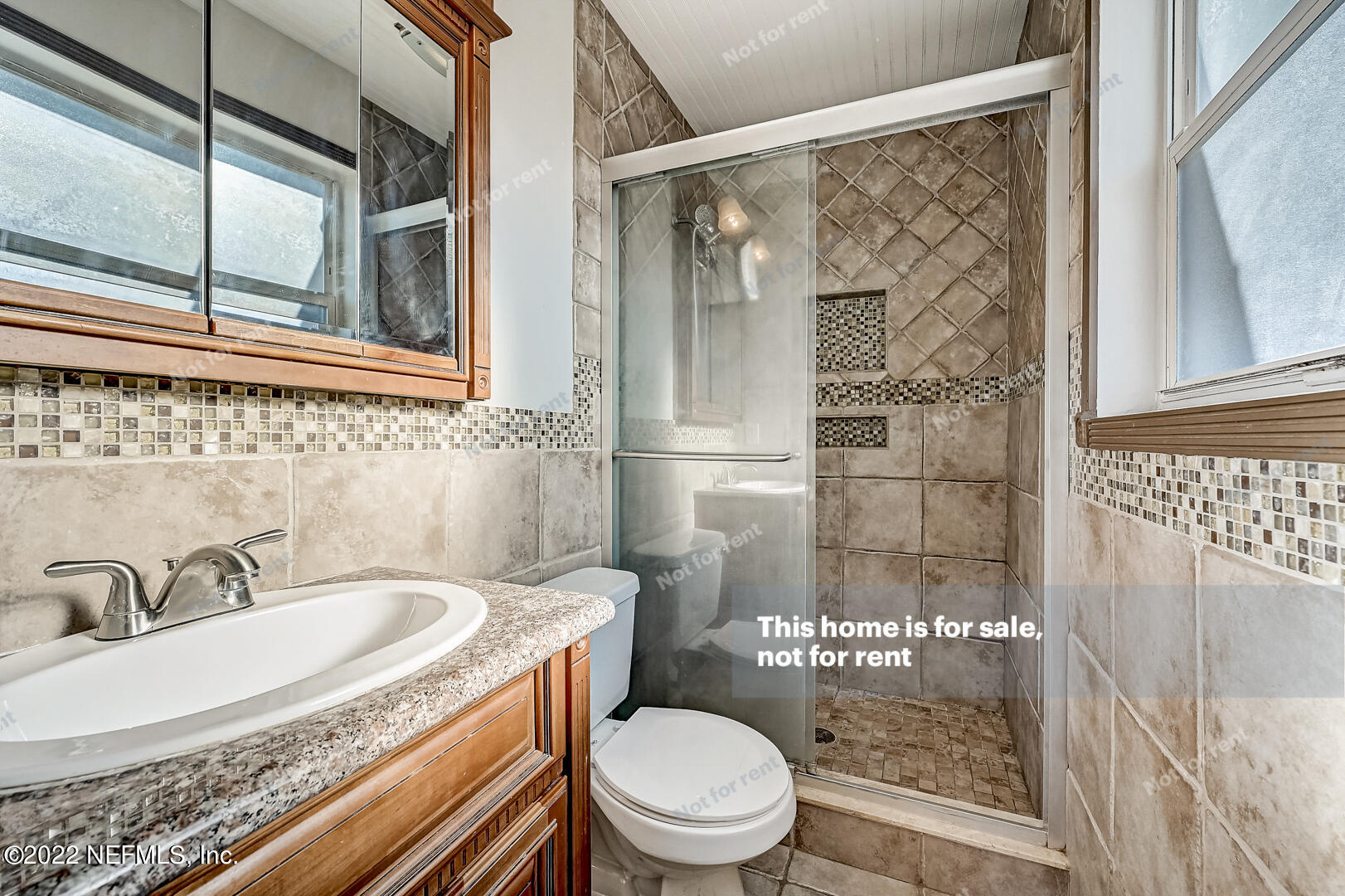 10918 Java Drive Jacksonville, FL 32246 - Photo 5 of 25 a bathroom with a sink toilet and shower