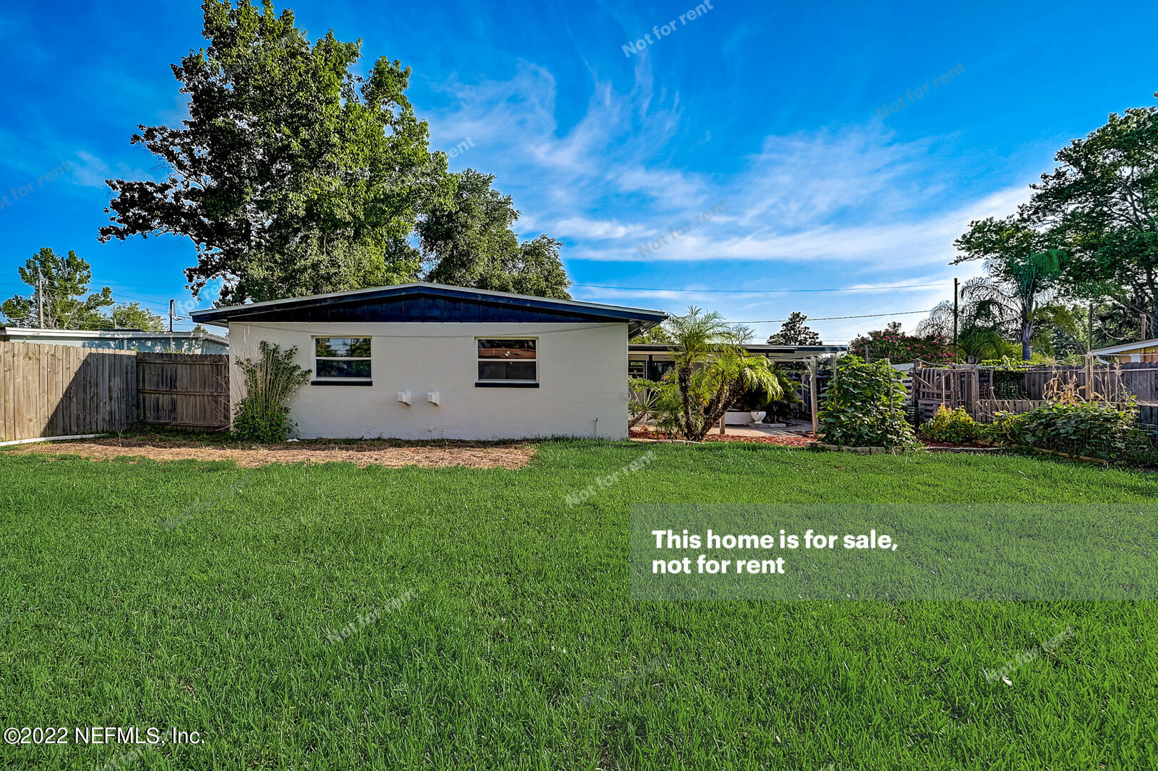 10918 Java Drive Jacksonville, FL 32246 - Photo 7 of 25 a view of a backyard with plants and a garden