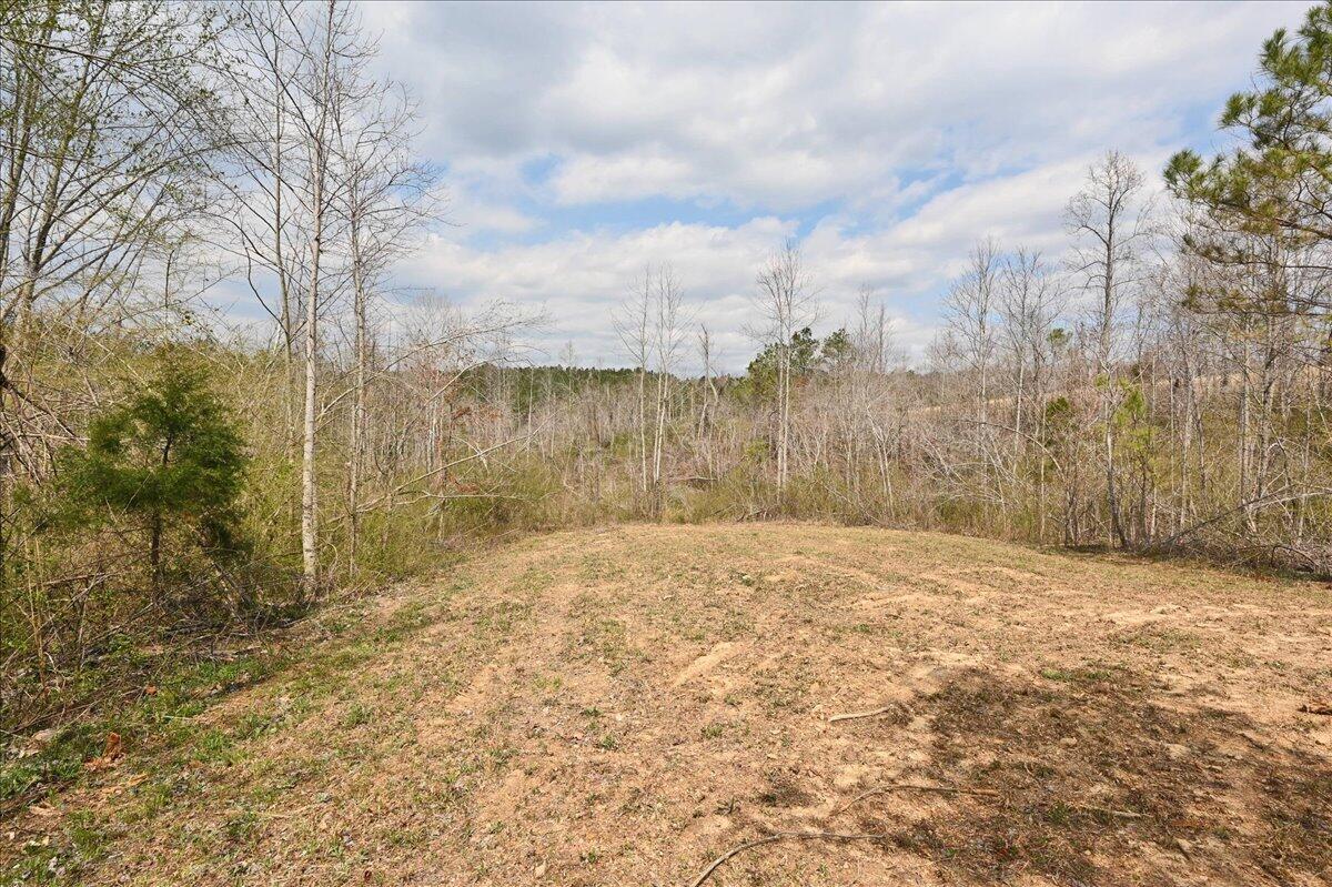 0 Co Road Vinemont, AL 35179 - Photo 6 of 28 Gallery Image 6
