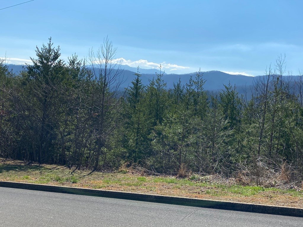 1706 Pinestand Rdg Way Sevierville, TN 37862 - Photo 8 of 8