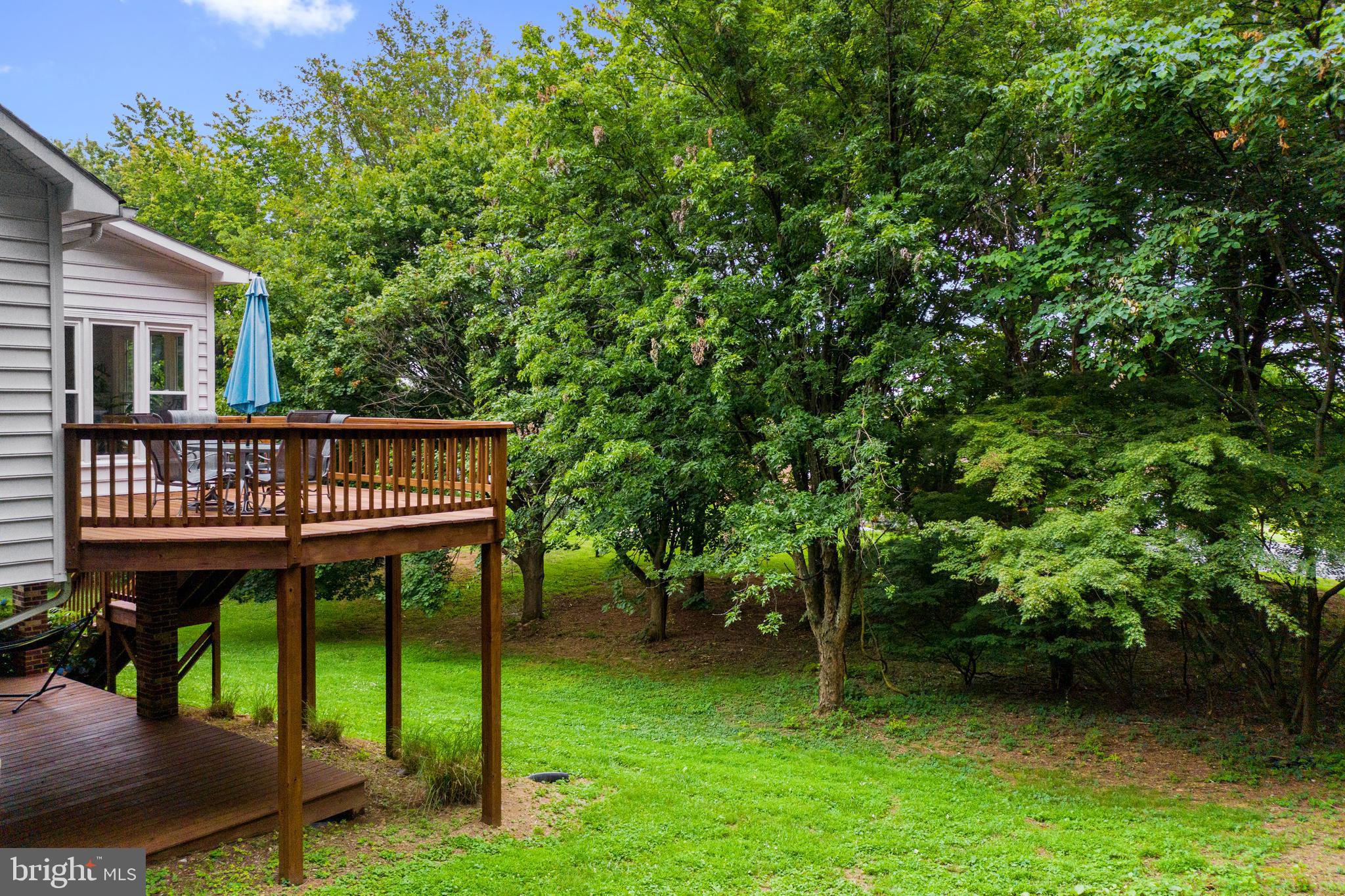 105 Forest Ridge Road Winchester, VA 22602 - Photo 11 of 32 Tons of room to play