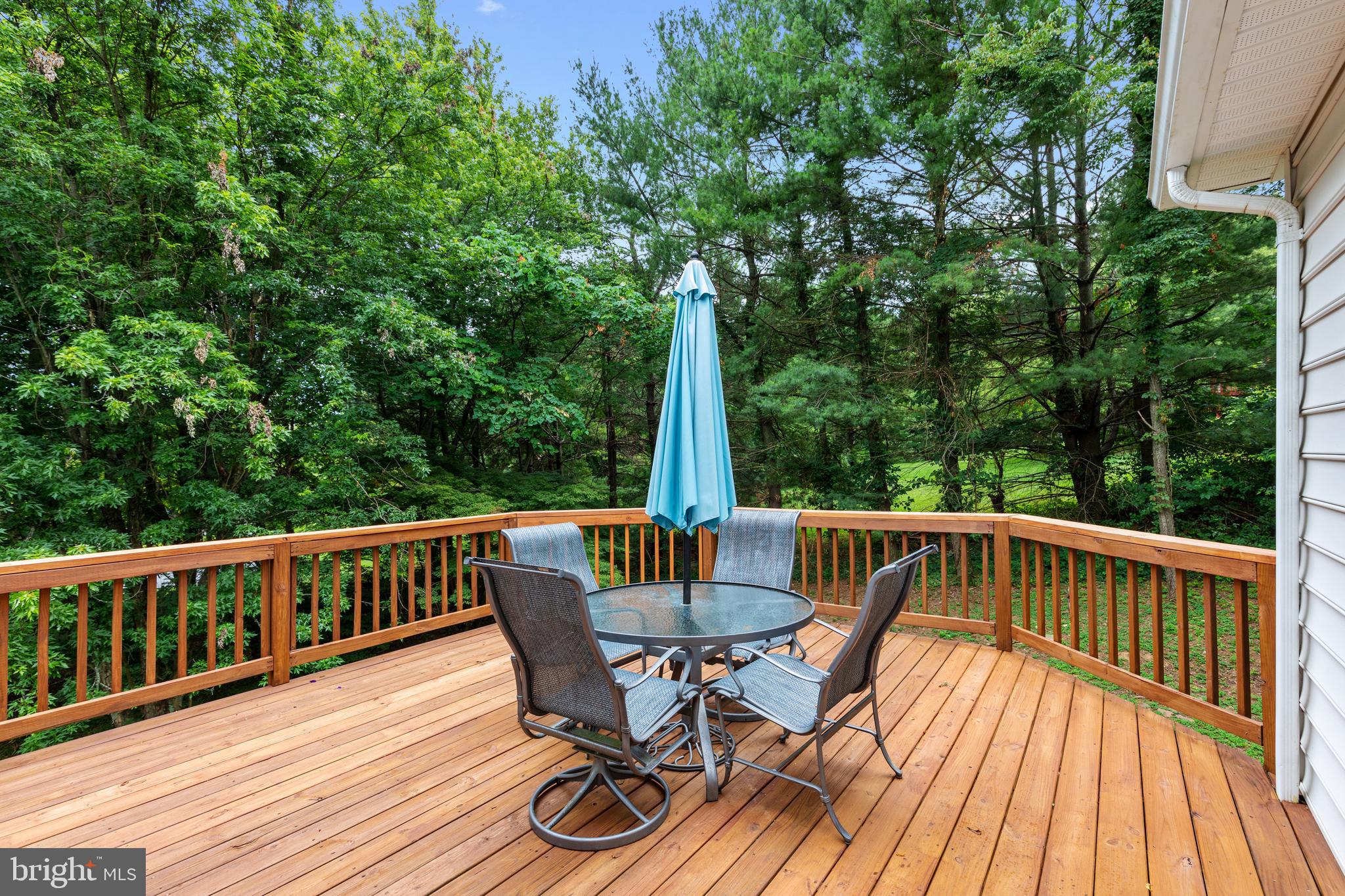 105 Forest Ridge Road Winchester, VA 22602 - Photo 12 of 32 Just stained so you can relax!
