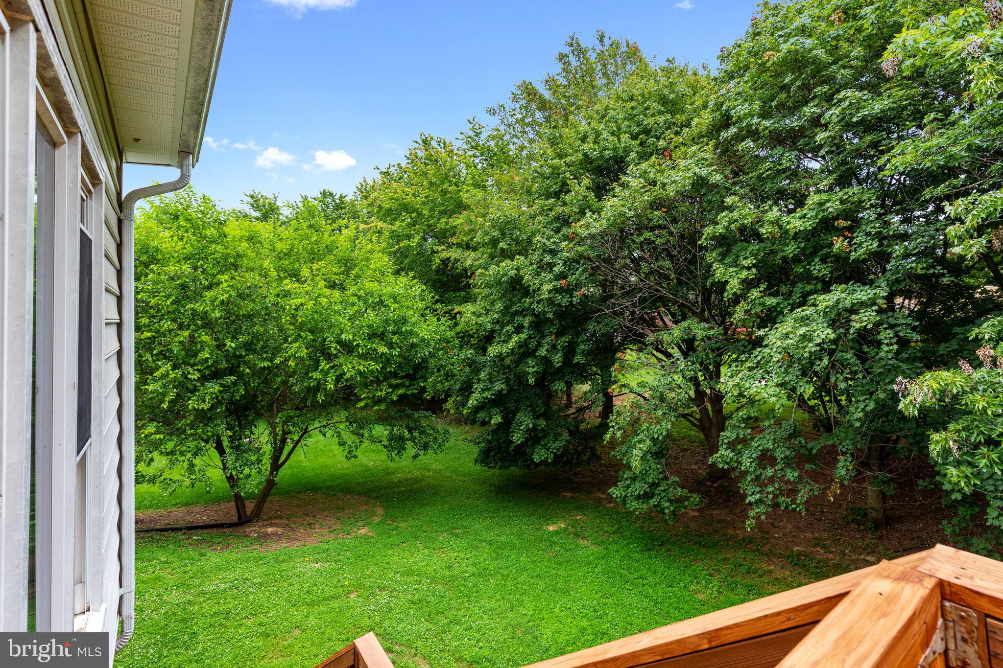 105 Forest Ridge Road Winchester, VA 22602 - Photo 13 of 32 Nice flat yard