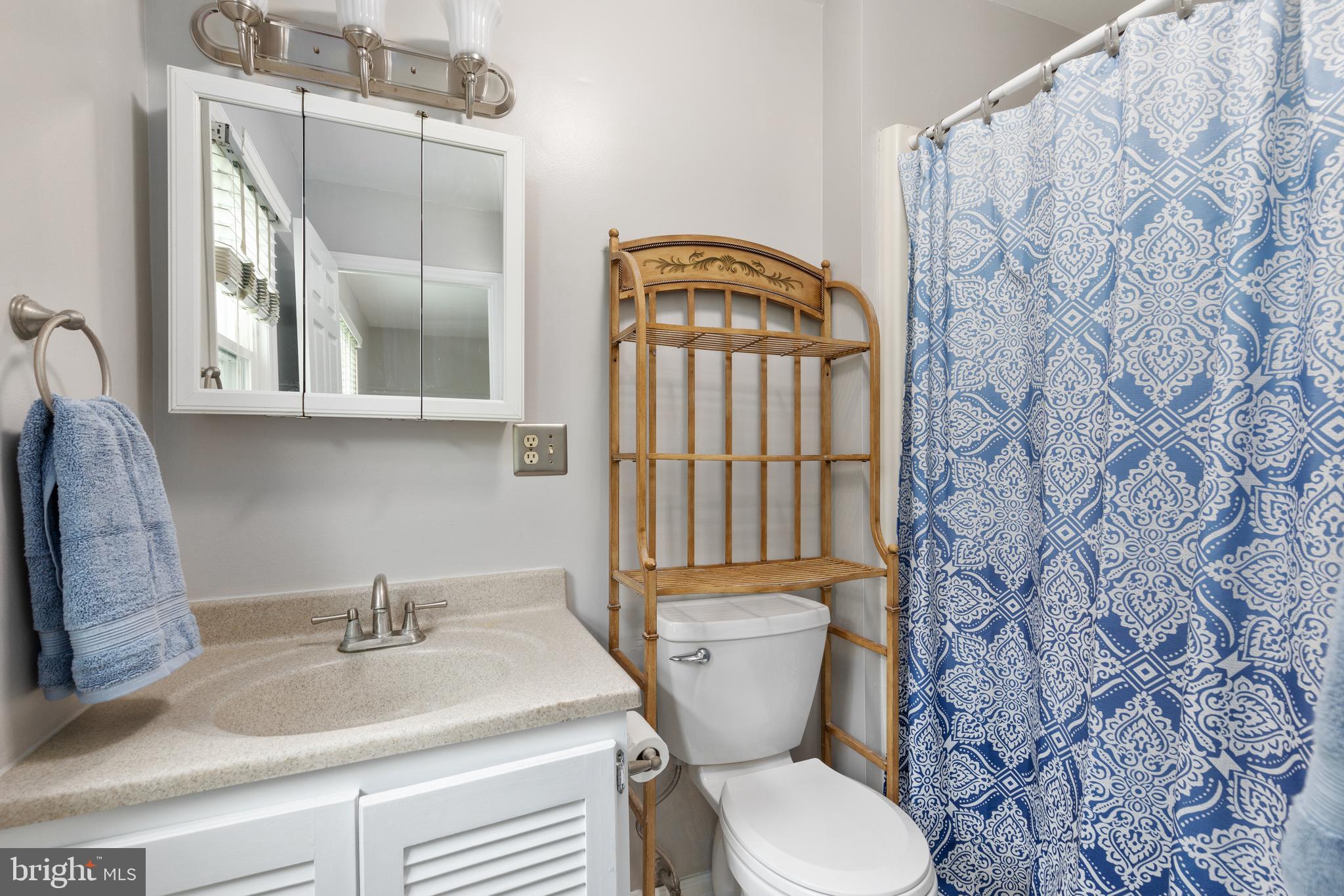 105 Forest Ridge Road Winchester, VA 22602 - Photo 21 of 32 Primary en suite bathroom