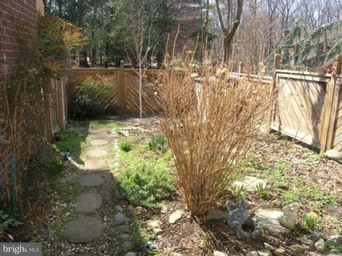 11082 Glade Court Reston, VA 20191 - Photo 14 of 14 Back yard