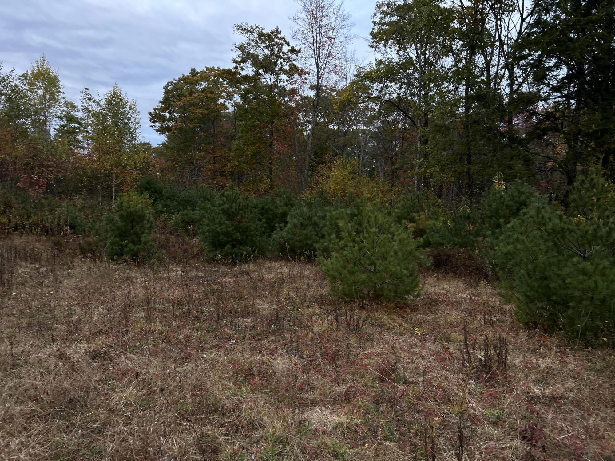 401 Genthner Road Waldoboro, ME 04572 - Photo 10 of 35