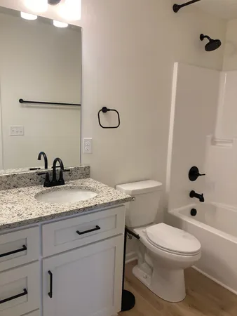 a bathroom with a granite countertop toilet sink and mirror
