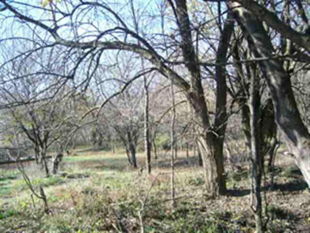 0 Bennett Road Linden, IN 47955 - Photo 12 of 14