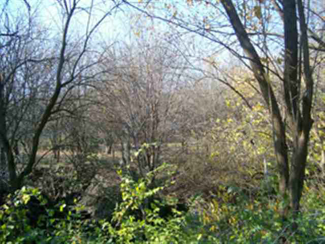 0 Bennett Road Linden, IN 47955 - Photo 14 of 14