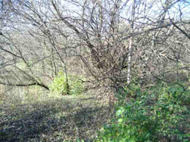 0 Bennett Road Linden, IN 47955 - Photo 10 of 14