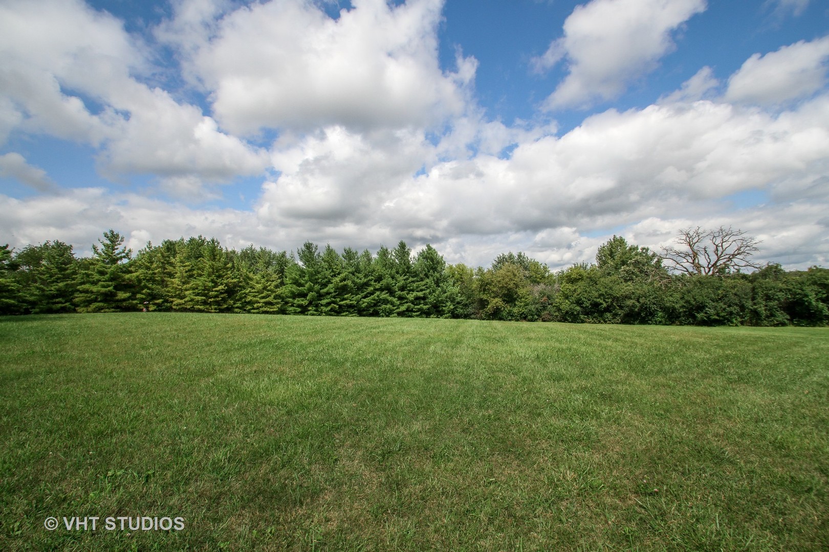 14008 Davis Road Woodstock, IL 60098 - Photo 22 of 32 a view of a big yard with potted plants and large trees