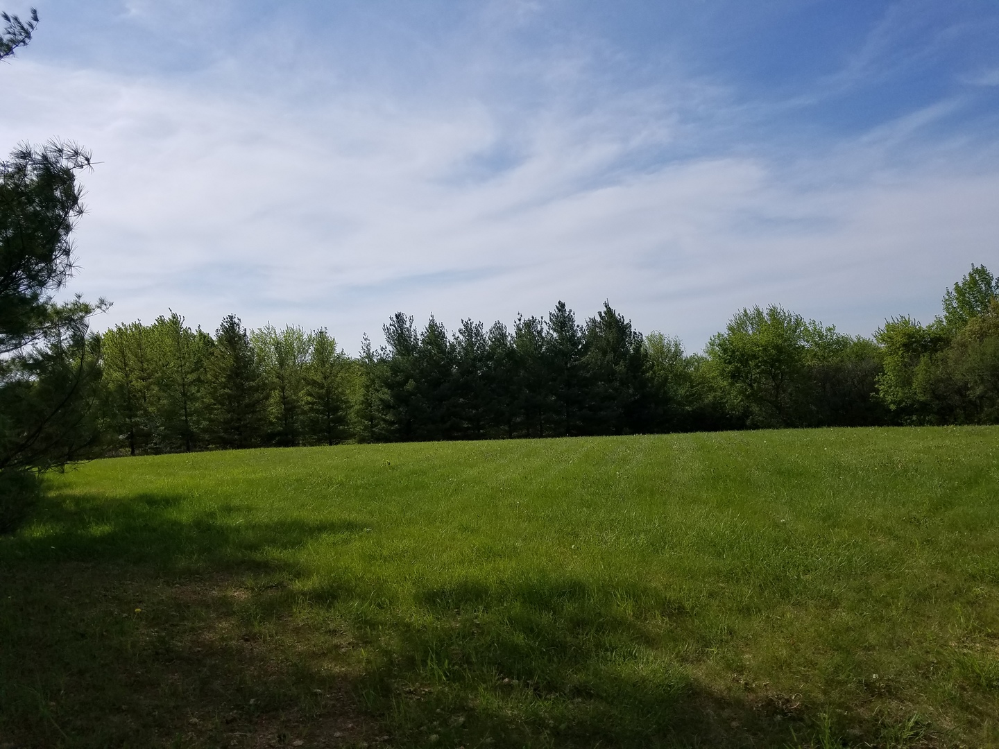 14008 Davis Road Woodstock, IL 60098 - Photo 27 of 32 a view of field with tall trees