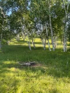 $159,000 | 15370 Mallard Road, Brook Park, MN 55007