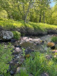 15370 Mallard Road Brook Park, MN 55007 - Photo 2 of 13