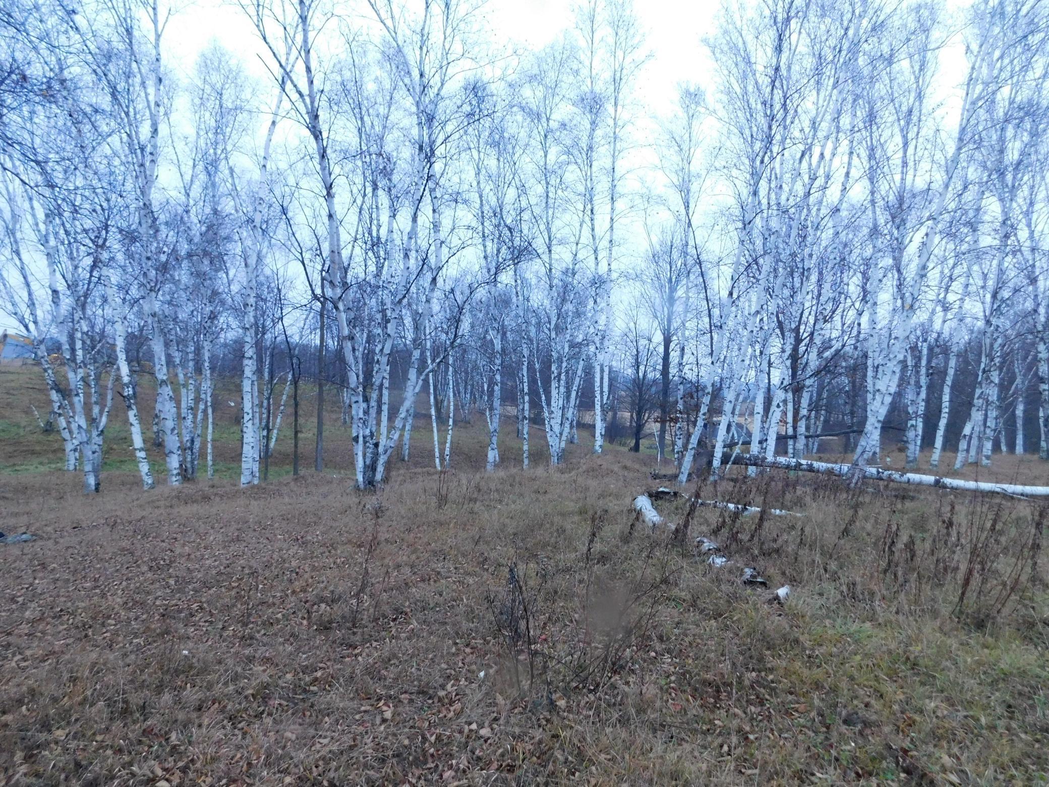 15370 Mallard Road Brook Park, MN 55007 - Photo 10 of 13