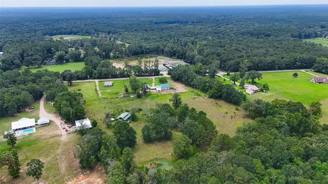an aerial view of green landscape with trees houses and mountain view