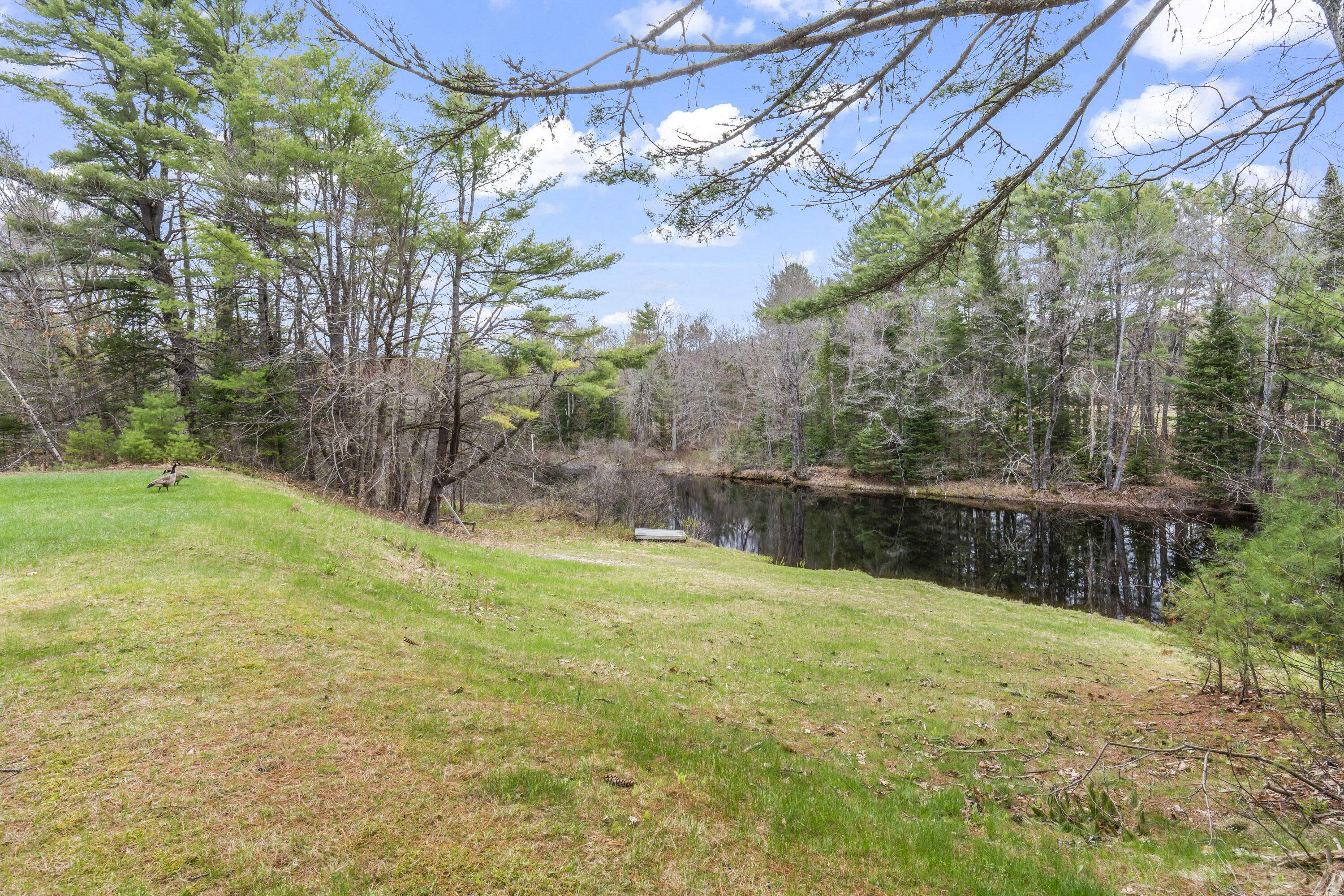 500 Plains Road Harrison, ME 04040 - Photo 42 of 47 photos_high_resolution_500_Plains_Rd_011