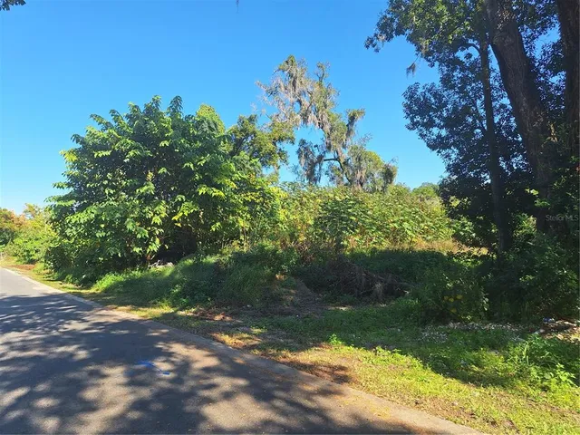 a backyard of a house with lots of green space