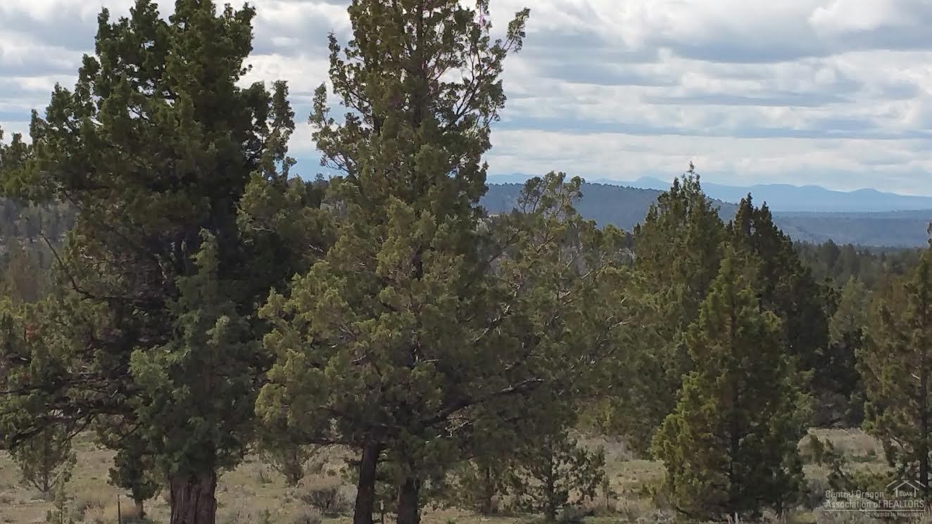 2689 Southeast Maphet Road Prineville, OR 97754 - Photo 18 of 24 Additional Photo