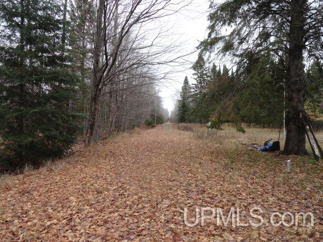 24494 L P Walsh Road White Pine, MI 49971 - Photo 24 of 28