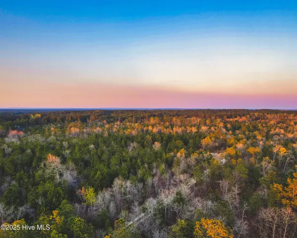 $681,250 | 15/501 Wagram Nc 28396, Marston, NC 28363