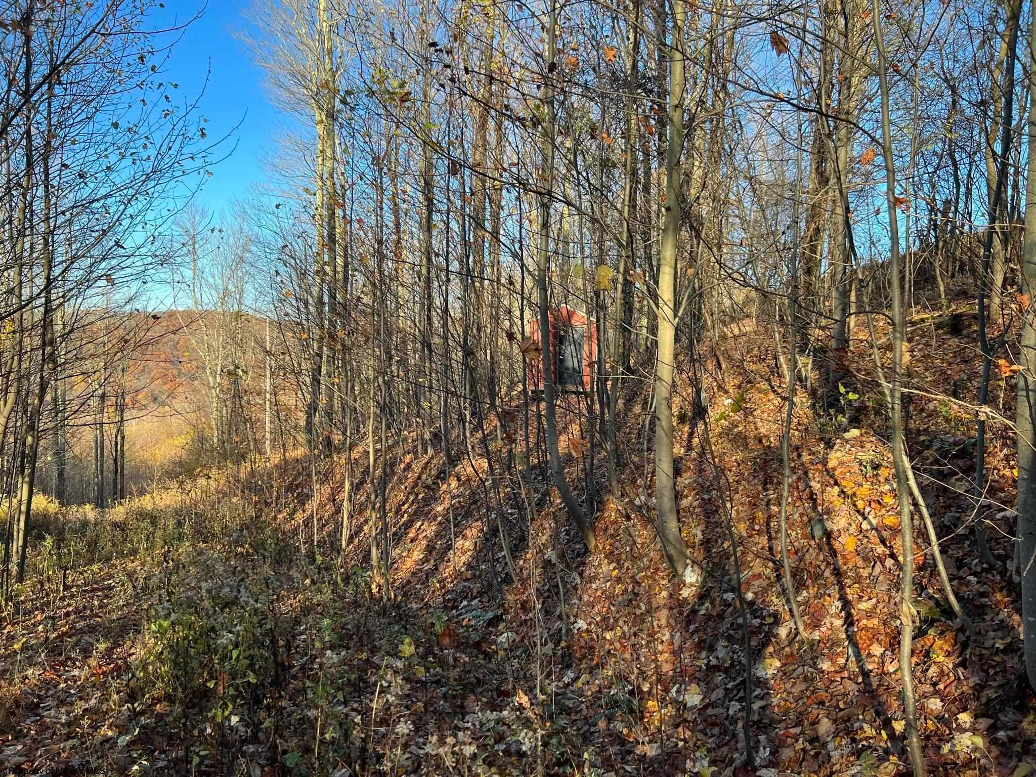 25-acres Stemple Ridge Road Aurora, WV 26705 - Photo 23 of 27 Gallery Image 23