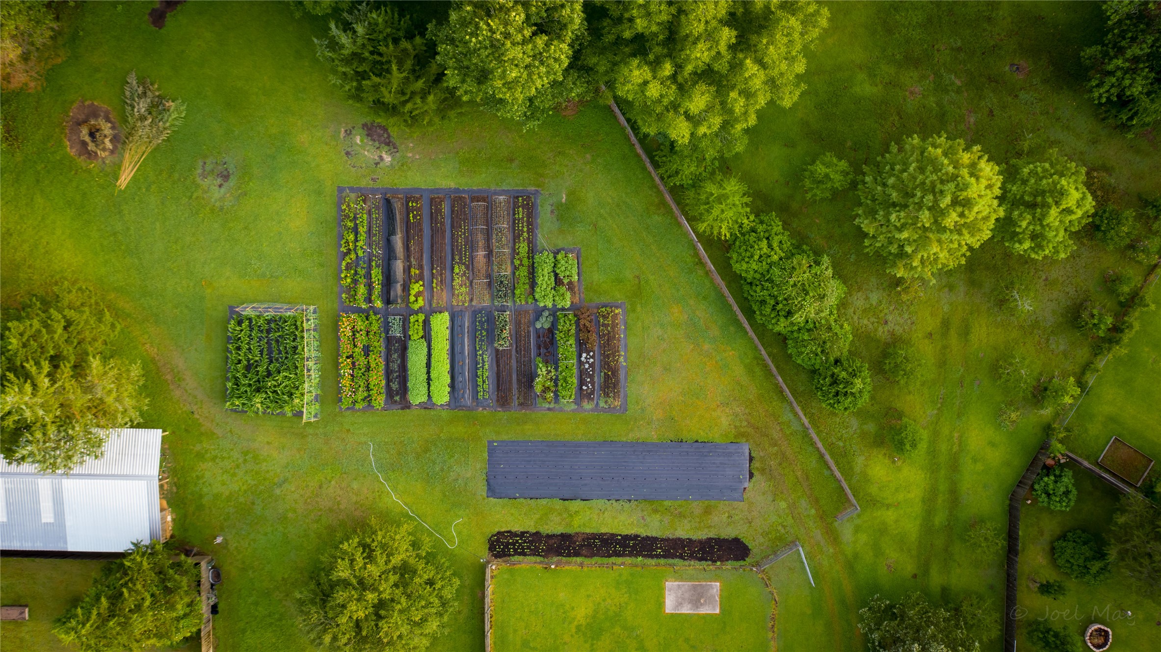 661 Old Plantersville Road Montgomery, TX 77316 - Photo 36 of 37