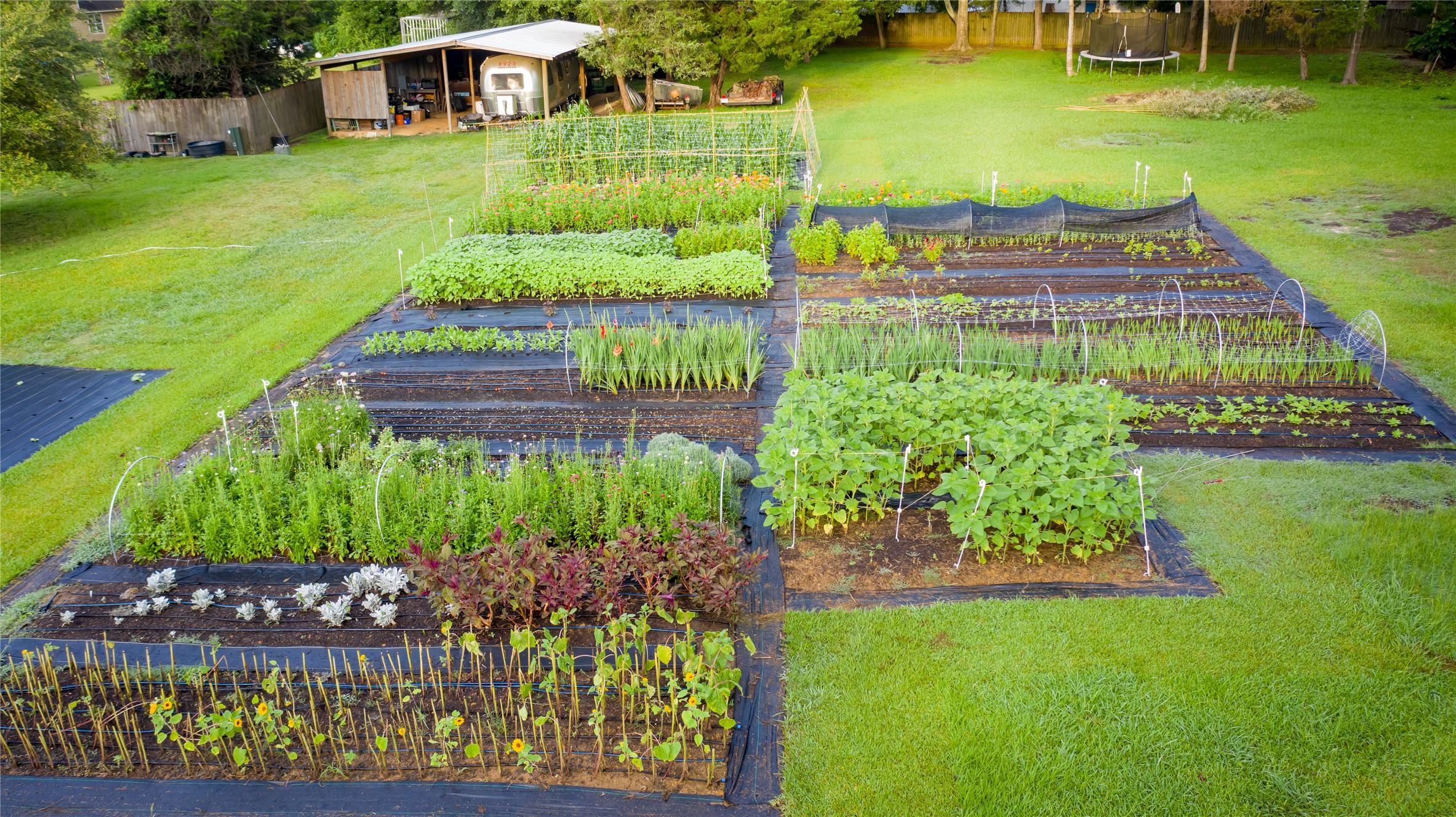 661 Old Plantersville Road Montgomery, TX 77316 - Photo 37 of 37