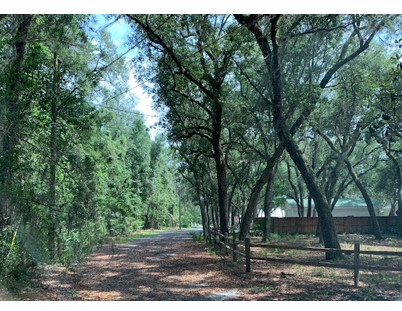 130 Lagrange Road Freeport, FL 32439 - Photo 3 of 17 a view of road with trees in the background