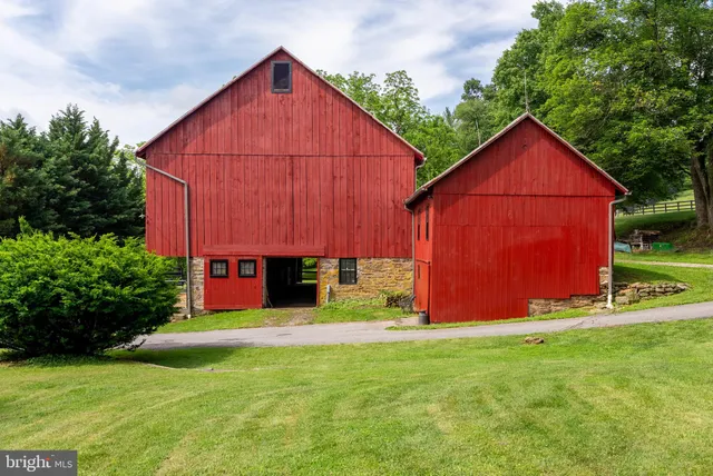 a potted plant sitting in front of a house