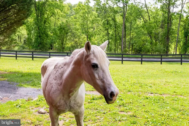 $1,475,000 | 2810 Hoffman Mill Road, Hampstead, MD 21074